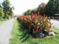 /album/dovolenka-hajduszoboszlo-hu-2013-/img-0456-jpg/