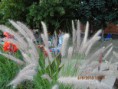 /album/dovolenka-hajduszoboszlo-hu-2013-/img-1051-jpg/